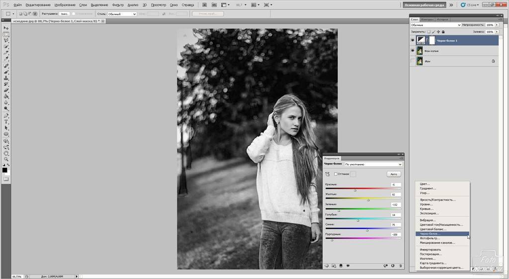 Как сделать черно-белое фото цветным онлайн