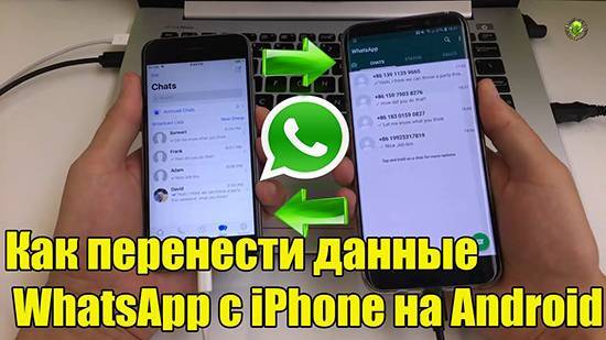 Как перенести whatsapp на другой телефон — инструкция