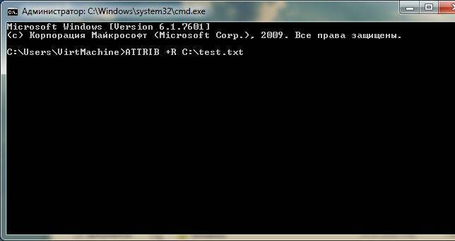 Файловая система доступна только для чтения linux - лайфхаки