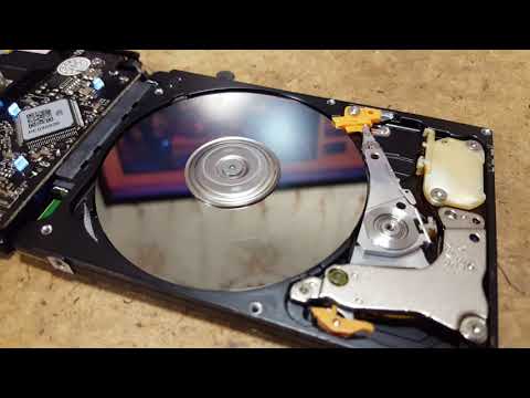 Что делать если жесткий диск щелкает и не запускается
