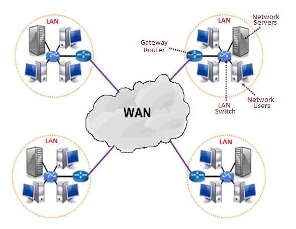 Что такое wan и lan в роутере. wan сеть и wan порт на роутере: теория и практика