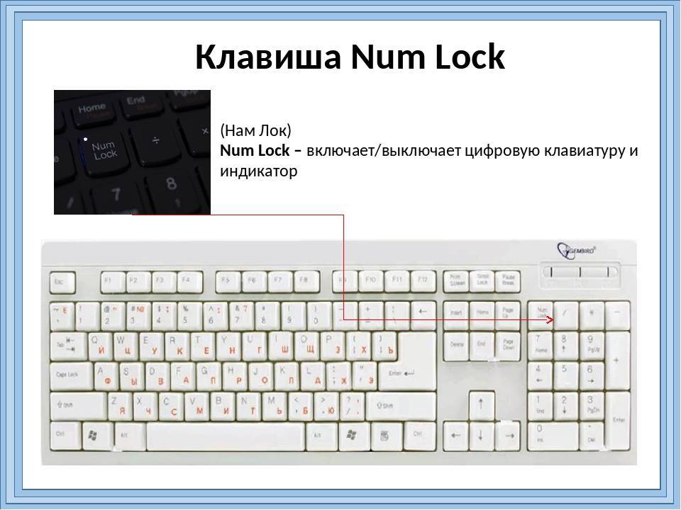 Кнопка num lock на клавиатуре – польза и настройка