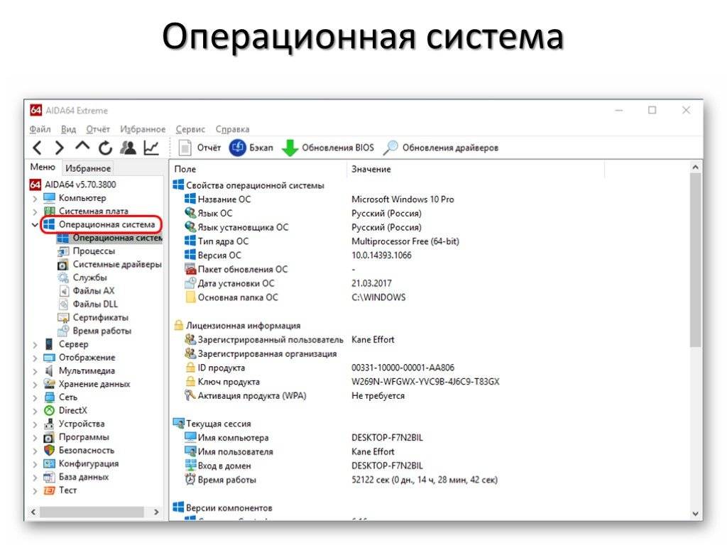 Aida64 - что это за программа и какие функции она выполняет :: syl.ru