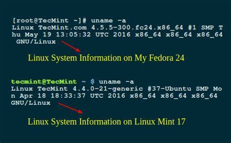 Сбор информации о системе ubuntu - losst