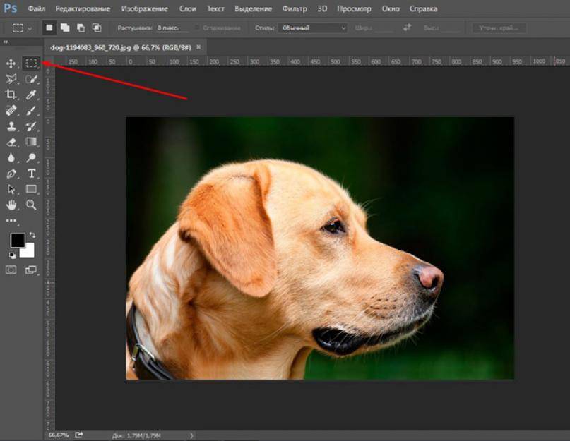 Как быстро вырезать картинку в фотошопе
