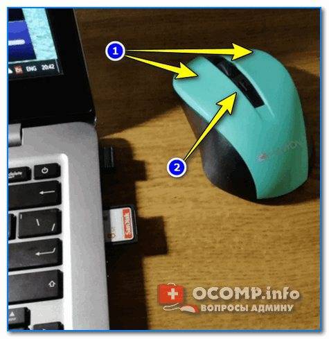 Что делать если не работает мышка на ноутбуке. проблемы с мышкой