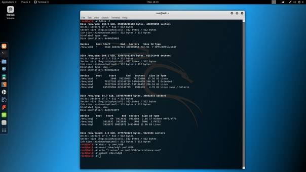 Установка ОС Kali Linux на флешку