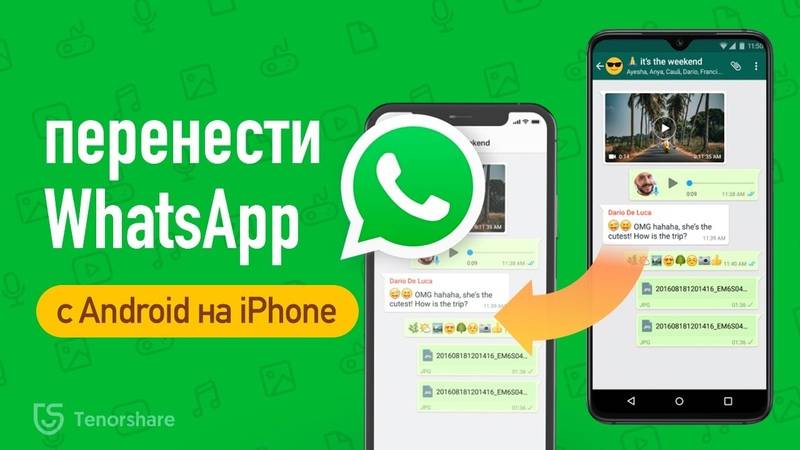 Как восстановить переписку в whatsapp с android на iphone