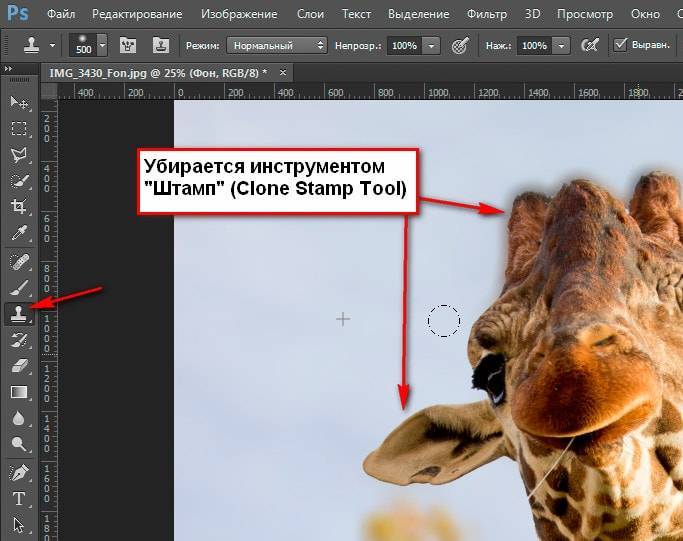 Правила применения штампа в Photoshop