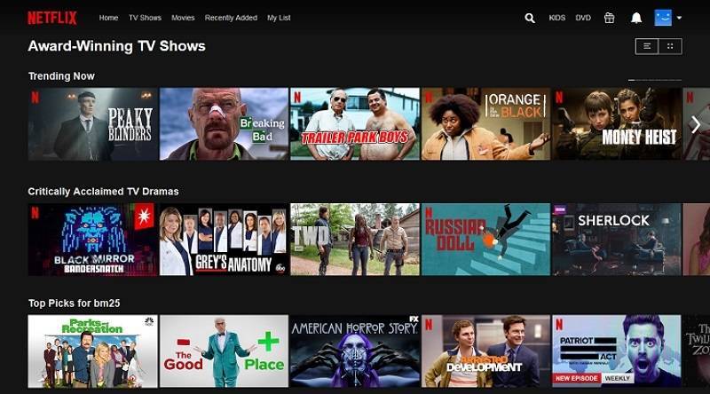 Netflix — что это за программа, как работает?