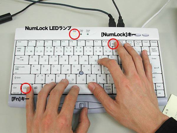 Почему клавиатура печатает цифрами на ноутбуке вместо букв? как убрать цифры