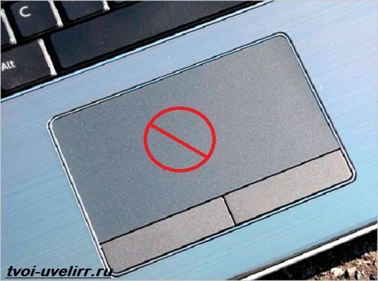 Как отключить тачпад на ноутбуке: отключение touchpad на asus, hp, lenovo, dell, acer
