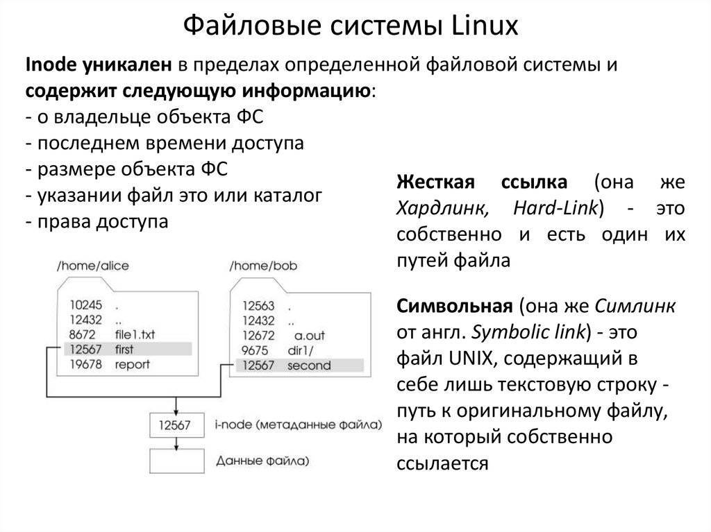 Файлы, каталоги и папки в linux. структура файловой системы | otus
