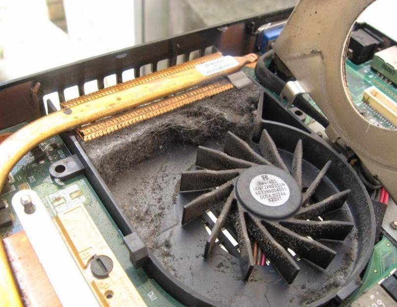 Почему сильно шумит кулер (вентилятор) в ноутбуке и на компьютере? | yurbol.ru - seo блог