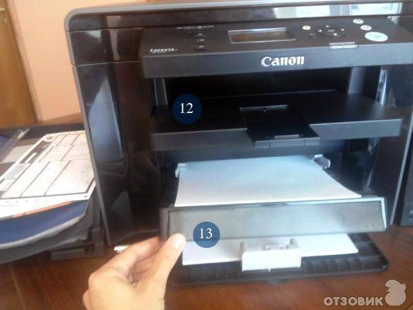 Принтер canon не сканирует в windows 10