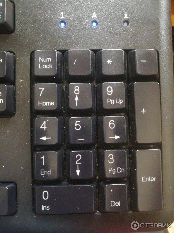 Num lock - что это такое на клавиатуре