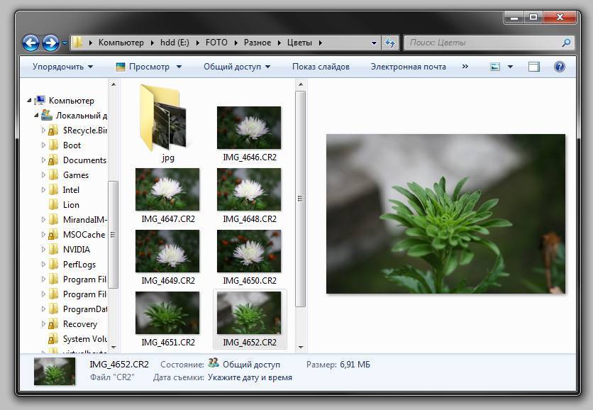 Скачать программы для просмотра фотографий windows 10, 7, 8, xp