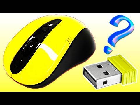 Что делать, если не работает мышка на ноутбуке? не работает мышка на ноутбуке: причины и решения