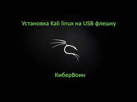 Kali linux - установка на флешку: инструкция