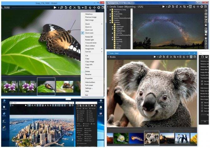 Топ-10 программ для просмотра фото в windows 10