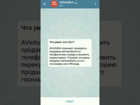 Как установить и пользоваться AVinfoBot в мессенджере «Telegram»