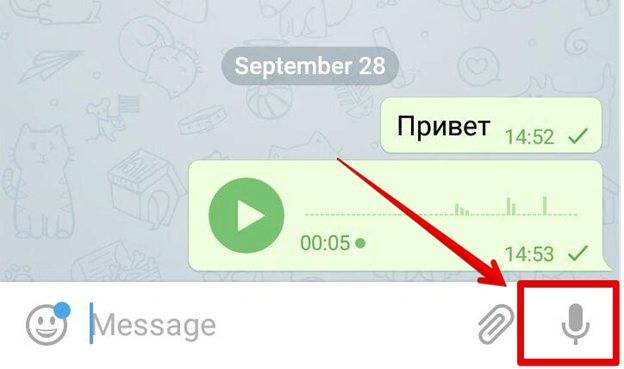 Как отправлять видеосообщения в телеграмме на android и ios