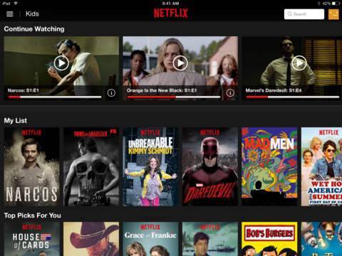 Netflix - что это за программа и нужна ли она?