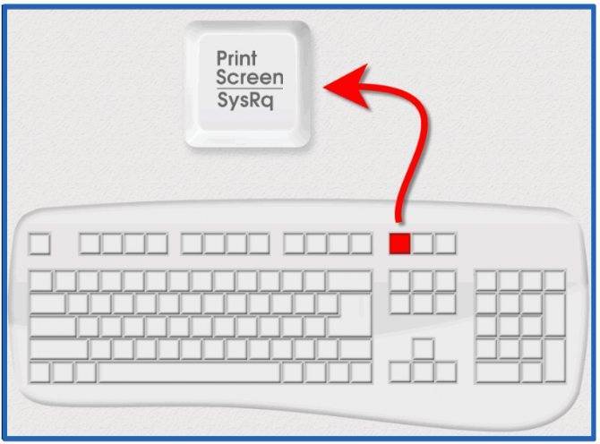 Как сделать скрин на ноутбуке