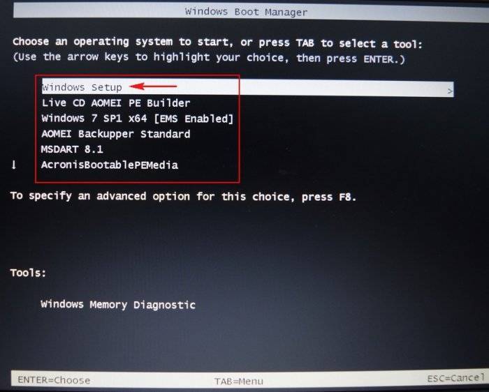 Bios boot manager