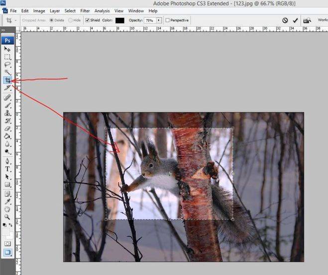 Обрезание картинки в фотошопе