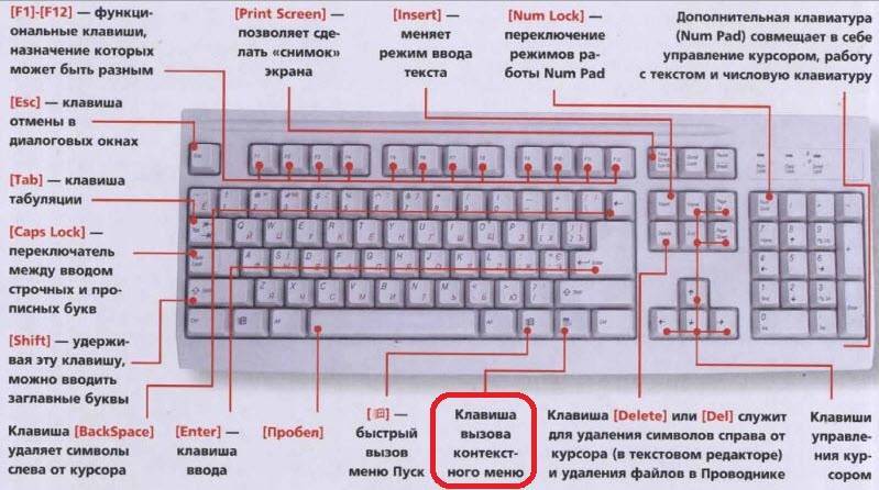 Не работает клавиатура на компьютере но индикаторы горят, что делать